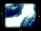 Le Drone - La mouche